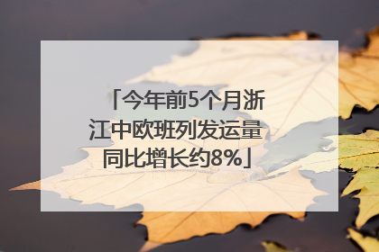 今年前5个月浙江中欧班列发运量同比增长约8%