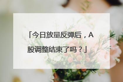 今日放量反弹后，A股调整结束了吗？