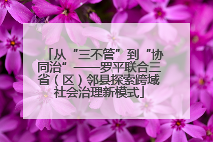 从“三不管”到“协同治”——罗平联合三省（区）邻县探索跨域社会治理新模式