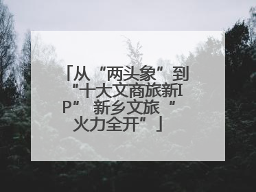 从“两头象”到“十大文商旅新IP” 新乡文旅“火力全开”