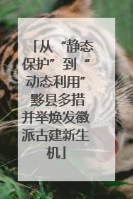 从“静态保护”到“动态利用” 黟县多措并举焕发徽派古建新生机
