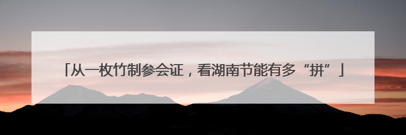 从一枚竹制参会证，看湖南节能有多“拼”