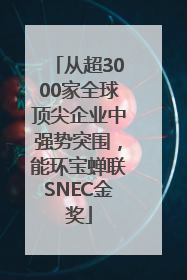 从超3000家全球顶尖企业中强势突围，能环宝蝉联SNEC金奖
