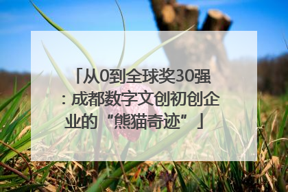 从0到全球奖30强：成都数字文创初创企业的“熊猫奇迹”