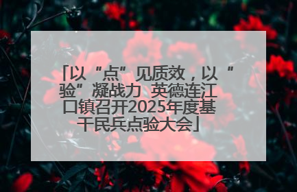 以“点”见质效，以“验”凝战力  英德连江口镇召开2025年度基干民兵点验大会
