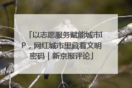 以志愿服务赋能城市IP，网红城市里藏着文明密码｜新京报评论