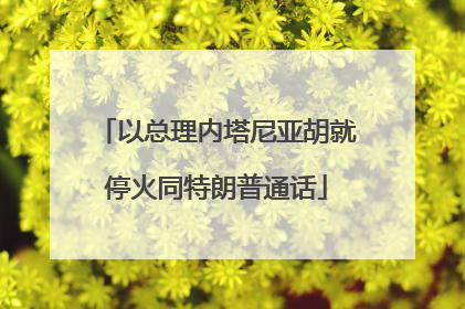 以总理内塔尼亚胡就停火同特朗普通话