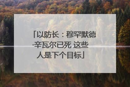 以防长：穆罕默德·辛瓦尔已死 这些人是下个目标