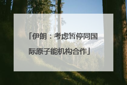伊朗：考虑暂停同国际原子能机构合作