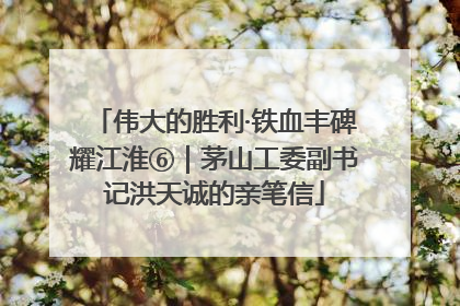 伟大的胜利·铁血丰碑耀江淮⑥｜茅山工委副书记洪天诚的亲笔信