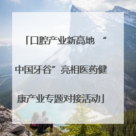 口腔产业新高地 “中国牙谷”亮相医药健康产业专题对接活动
