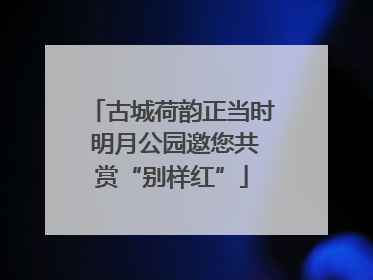古城荷韵正当时 明月公园邀您共赏“别样红”