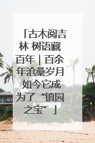 古木阅吉林 树语藏百年｜百余年沧桑岁月 如今它成为了“镇园之宝”