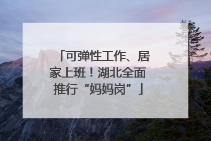 可弹性工作、居家上班！湖北全面推行“妈妈岗”
