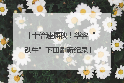 十倍速插秧！华容“铁牛”下田刷新纪录