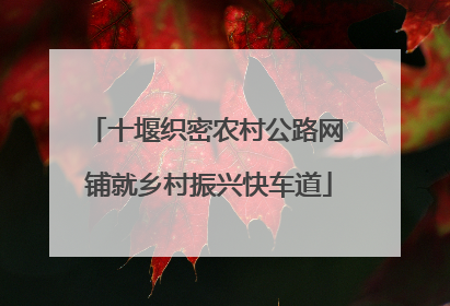 十堰织密农村公路网 铺就乡村振兴快车道