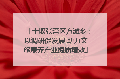 十堰张湾区方滩乡：以调研促发展 助力文旅康养产业提质增效
