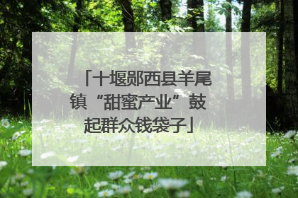 十堰郧西县羊尾镇“甜蜜产业”鼓起群众钱袋子