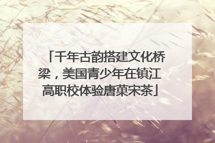 千年古韵搭建文化桥梁，美国青少年在镇江高职校体验唐菓宋茶
