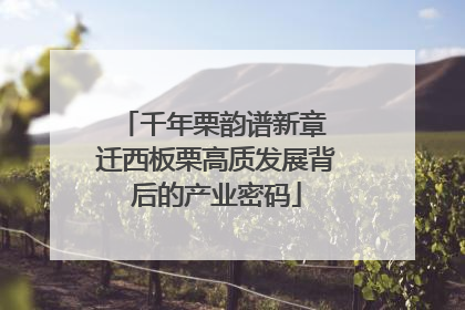 千年栗韵谱新章 迁西板栗高质发展背后的产业密码