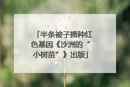 半条被子播种红色基因《沙洲的“小树苗”》出版