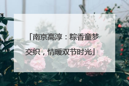 南京高淳：粽香童梦交织，情暖双节时光
