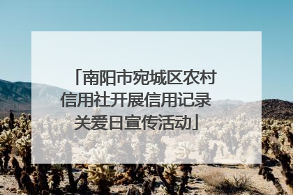 南阳市宛城区农村信用社开展信用记录关爱日宣传活动