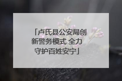 卢氏县公安局创新警务模式 全力守护百姓安宁