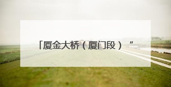厦金大桥（厦门段）“厦金号”盾构机始发