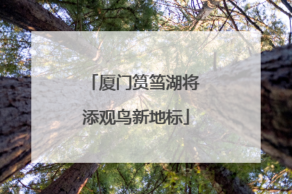 厦门筼筜湖将添观鸟新地标