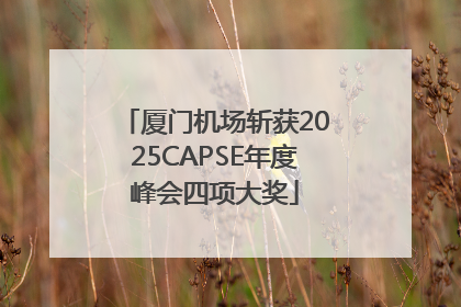 厦门机场斩获2025CAPSE年度峰会四项大奖