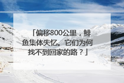 偏移800公里，鲱鱼集体失忆。它们为何找不到回家的路？