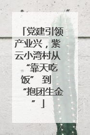 党建引领产业兴，紫云小湾村从 “靠天吃饭” 到 “抱团生金”