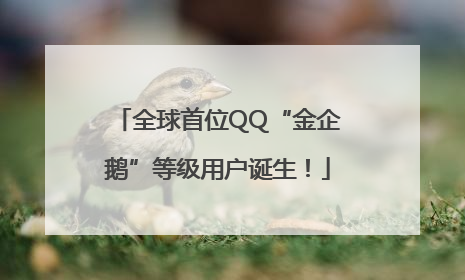 全球首位QQ“金企鹅”等级用户诞生！
