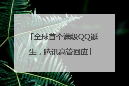 全球首个满级QQ诞生，腾讯高管回应