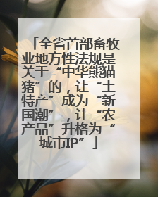 全省首部畜牧业地方性法规是关于“中华熊猫猪”的，让“土特产”成为“新国潮”，让“农产品”升格为“城市IP”
