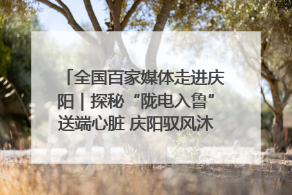 全国百家媒体走进庆阳｜探秘“陇电入鲁”送端心脏 庆阳驭风沐光点亮齐鲁万家