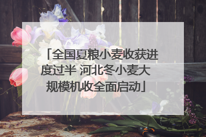 全国夏粮小麦收获进度过半 河北冬小麦大规模机收全面启动