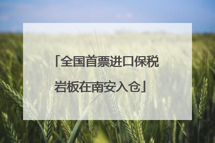 全国首票进口保税岩板在南安入仓