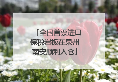 全国首票进口保税岩板在泉州南安顺利入仓