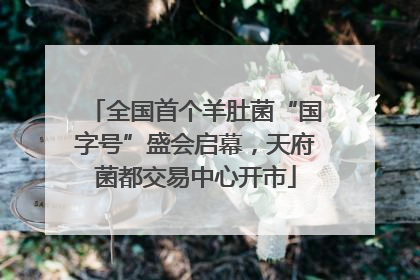 全国首个羊肚菌“国字号”盛会启幕，天府菌都交易中心开市