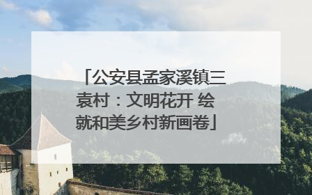 公安县孟家溪镇三袁村：文明花开 绘就和美乡村新画卷