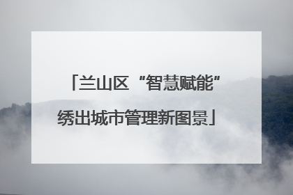 兰山区“智慧赋能”绣出城市管理新图景