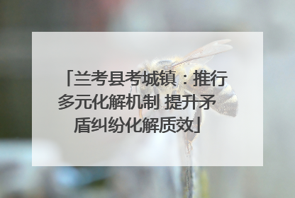兰考县考城镇：推行多元化解机制 提升矛盾纠纷化解质效