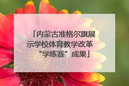 内蒙古准格尔旗展示学校体育教学改革“学练赛”成果