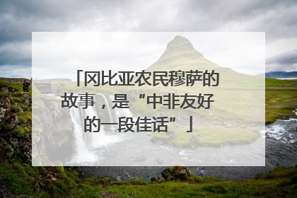 冈比亚农民穆萨的故事，是“中非友好的一段佳话”