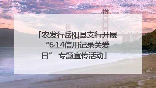 农发行岳阳县支行开展“6·14信用记录关爱日” 专题宣传活动