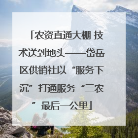 农资直通大棚 技术送到地头——岱岳区供销社以“服务下沉”打通服务“三农”最后一公里