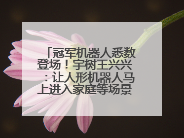 冠军机器人悉数登场！宇树王兴兴：让人形机器人马上进入家庭等场景并不现实