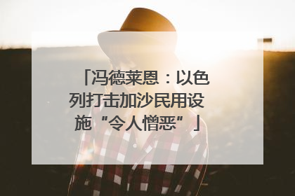 冯德莱恩：以色列打击加沙民用设施“令人憎恶”